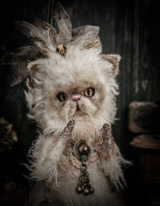 12.5" Persian Cat