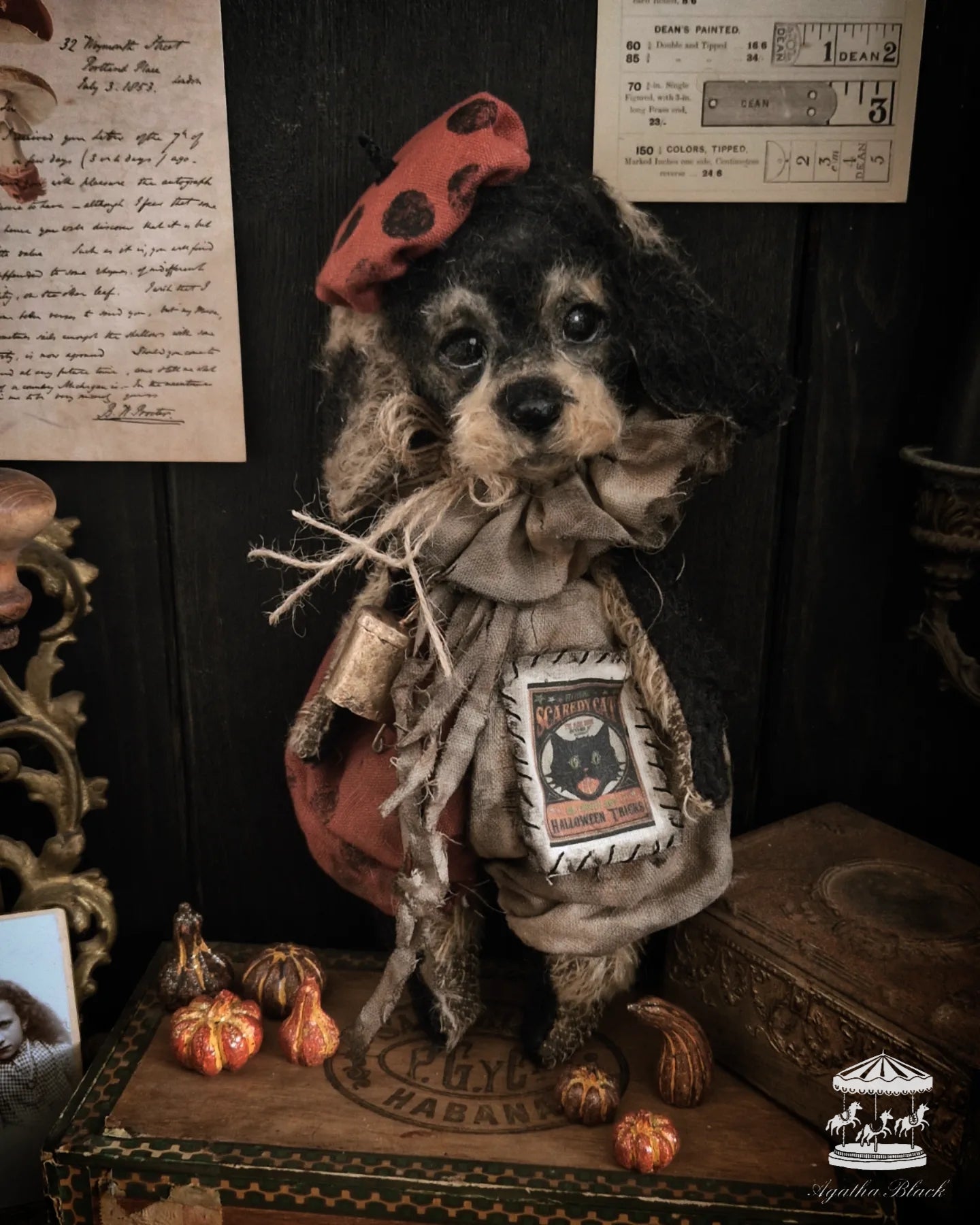 11.8" Wire Haired Dachshund Puppy