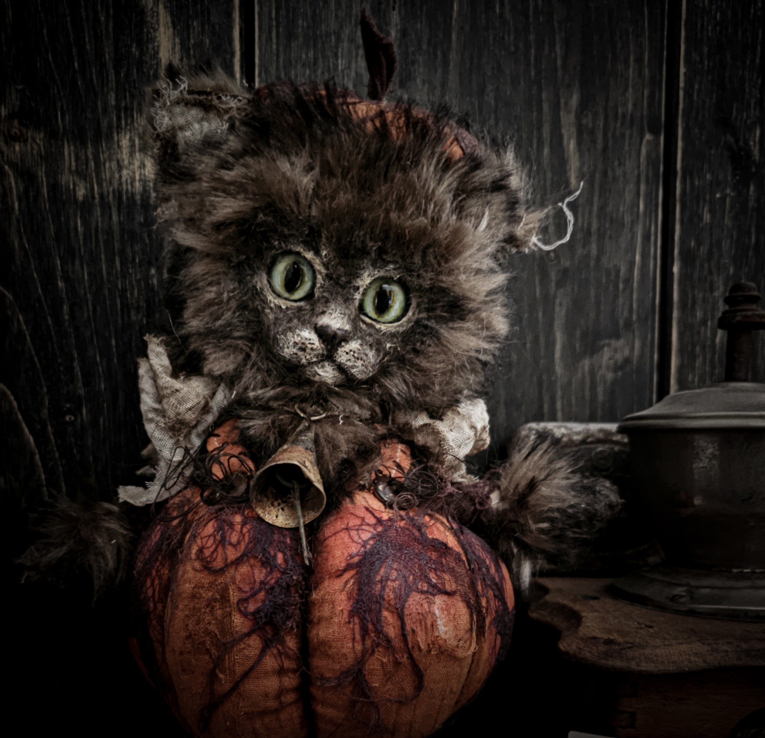 12" Pumpkin Cat