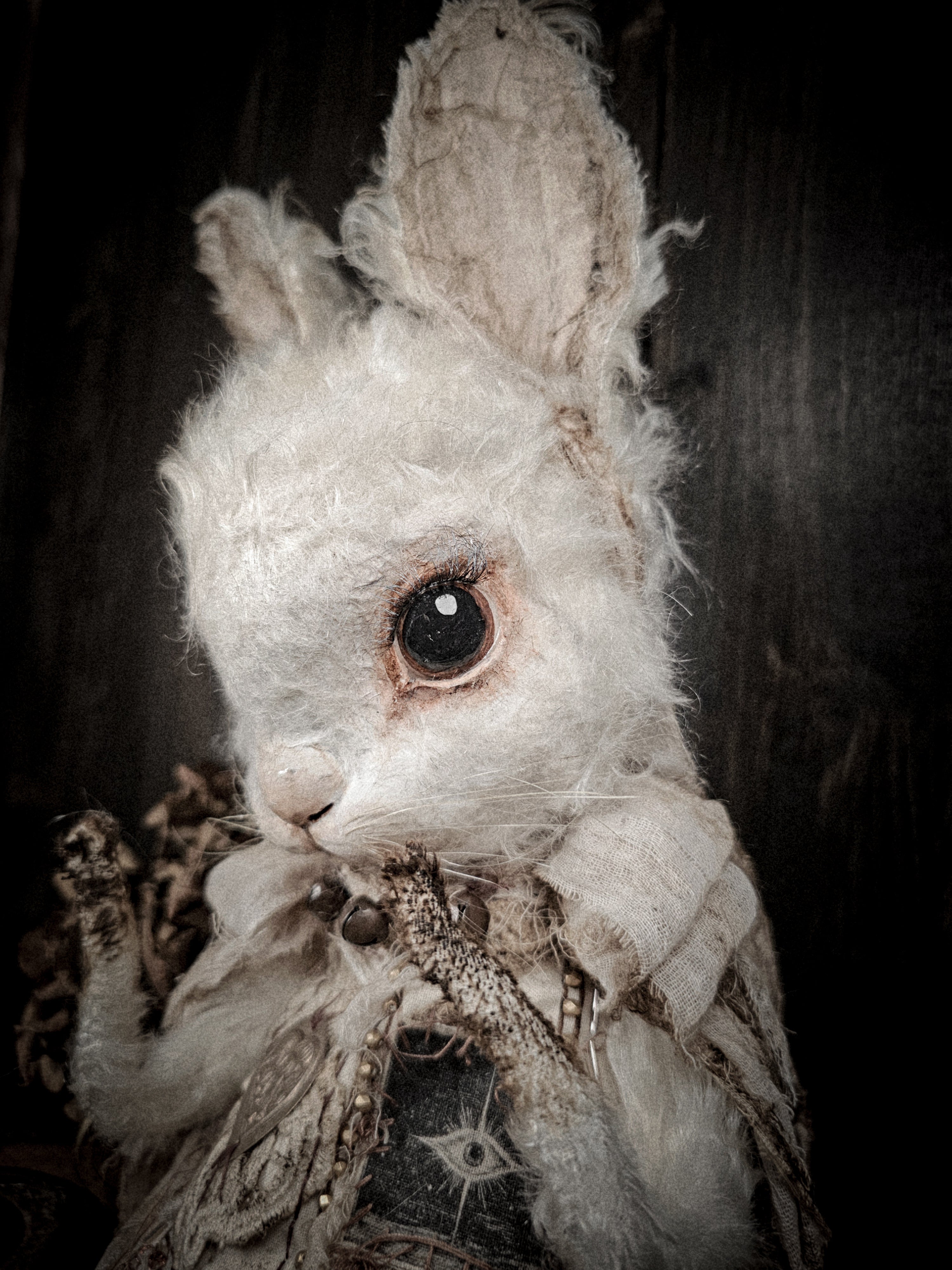 17.3" White Rabbit