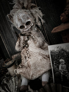 11.8" Skull Cat
