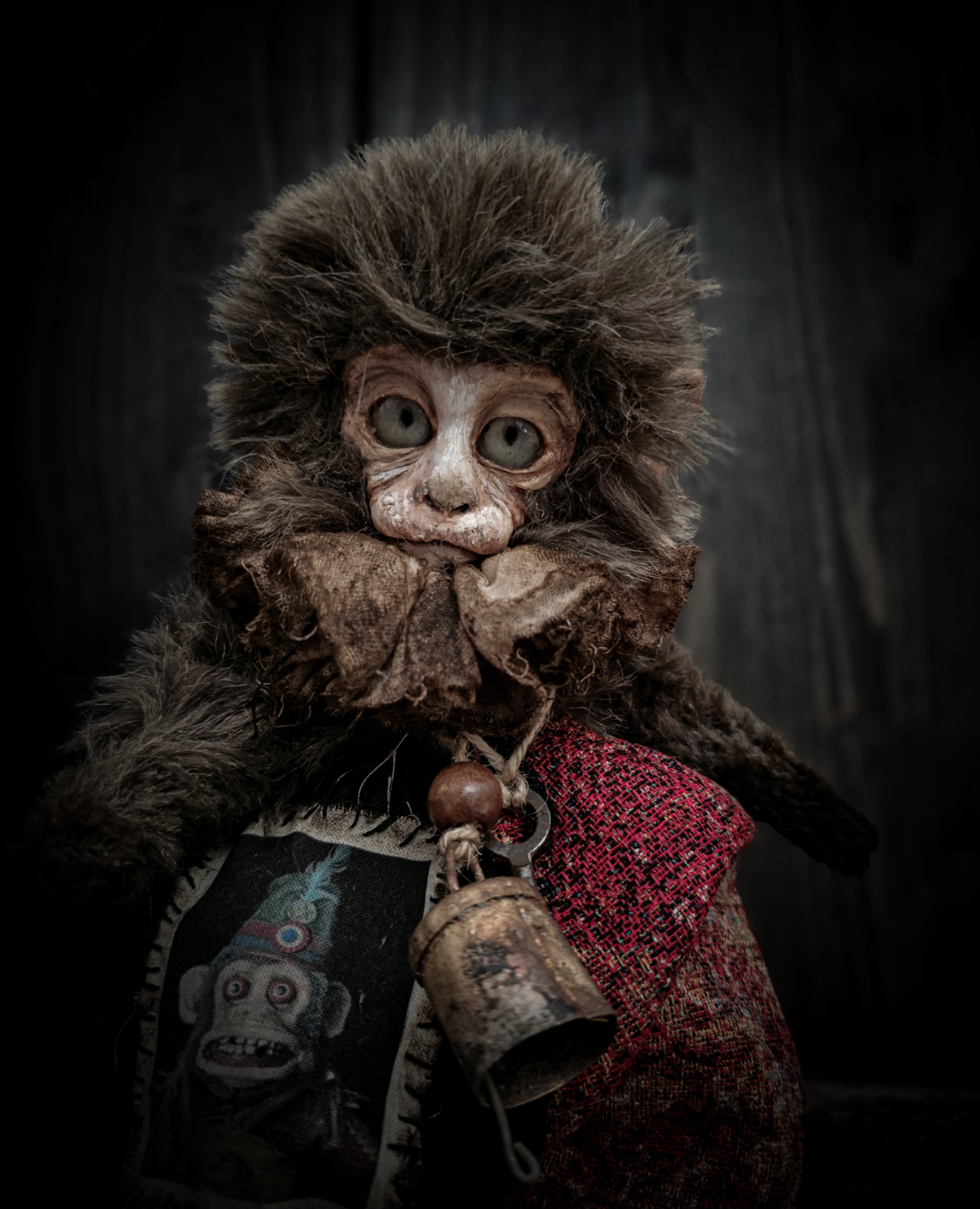 10.6" Old Capuchin Monkey