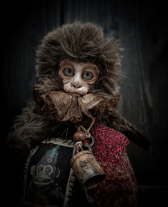 10.6" Old Capuchin Monkey