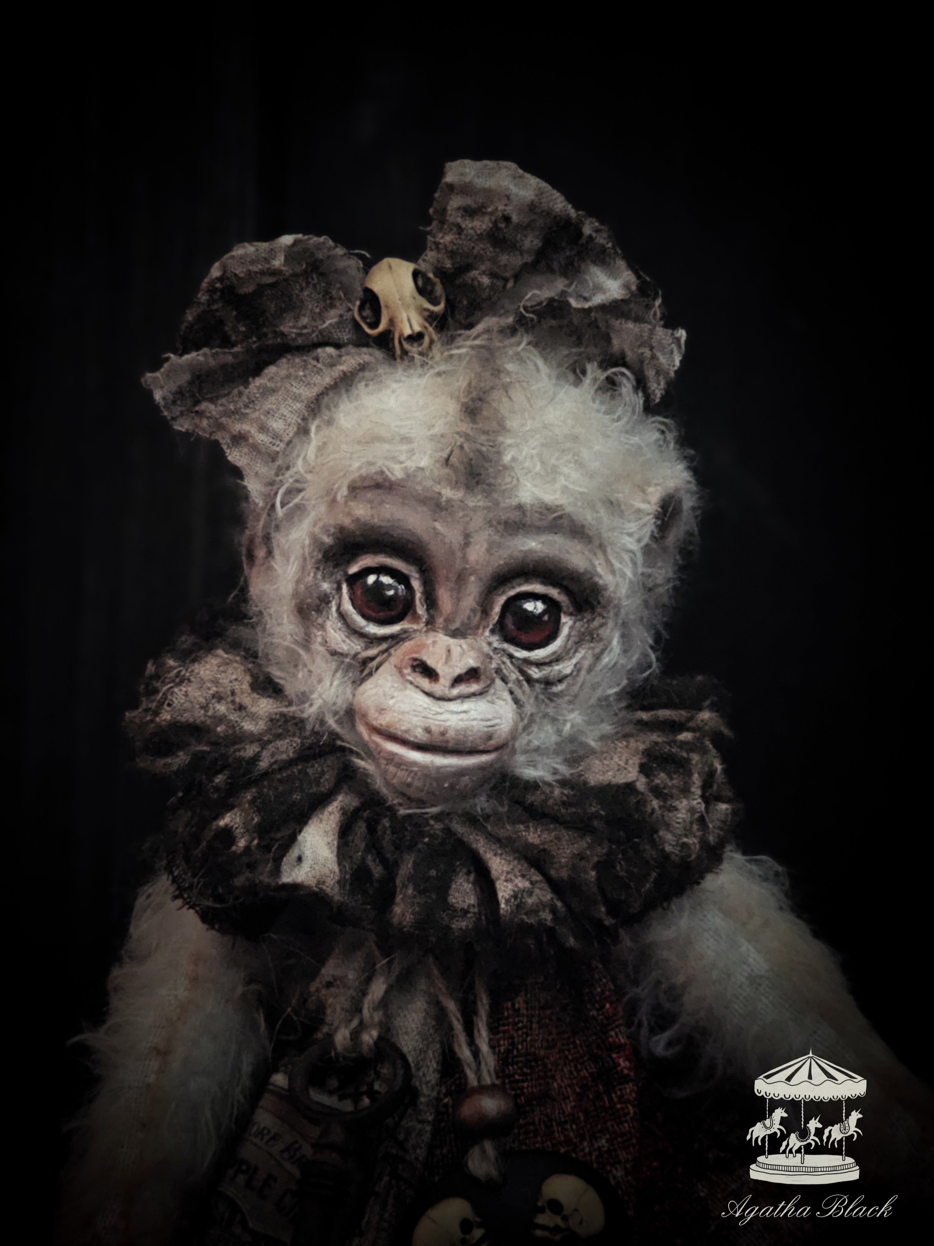 11.8" Albino Monkey