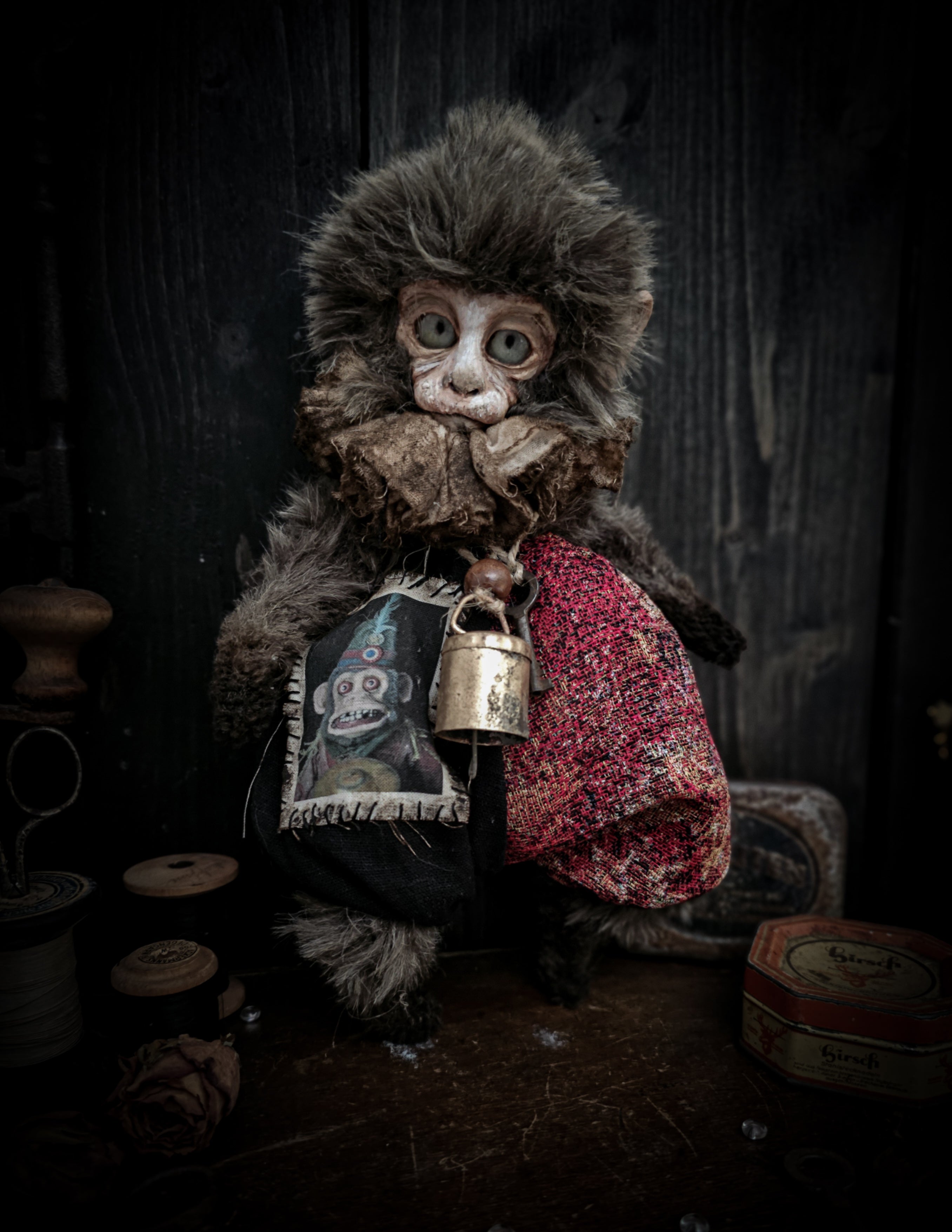 10.6" Old Capuchin Monkey