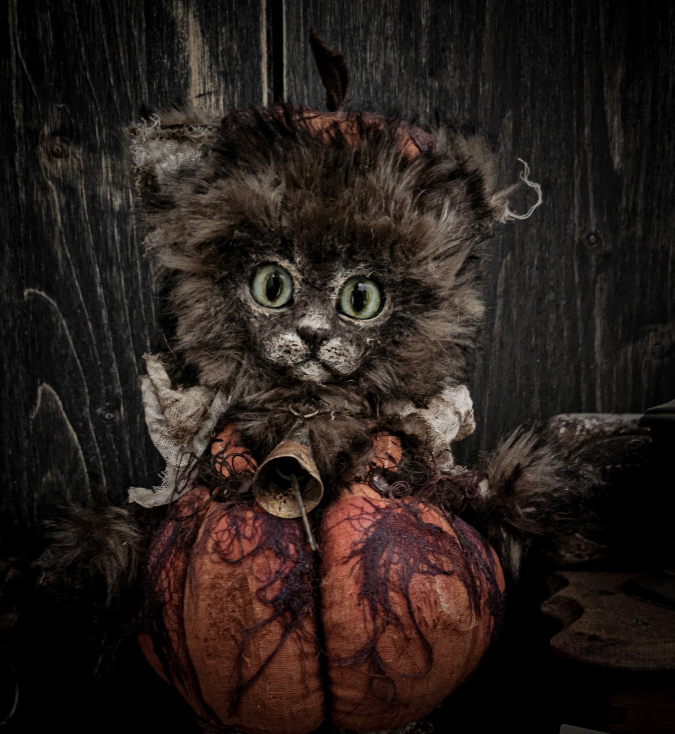 12" Pumpkin Cat