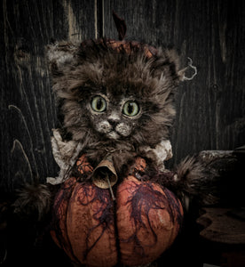12" Pumpkin Cat