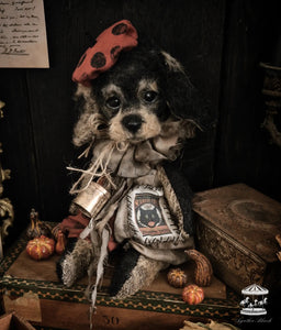 11.8" Wire Haired Dachshund Puppy