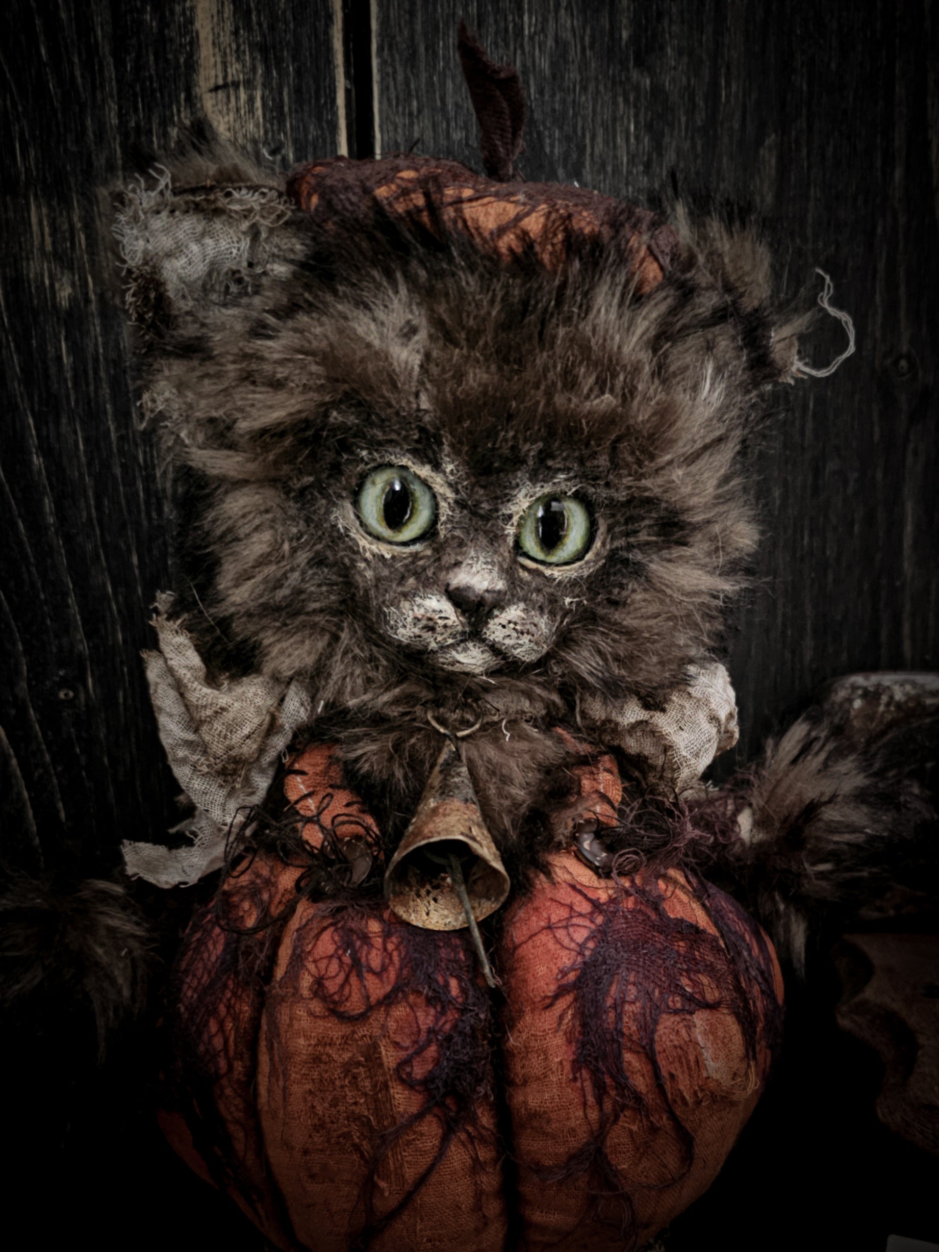 12" Pumpkin Cat