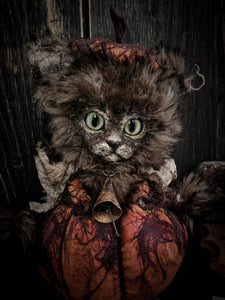 12" Pumpkin Cat