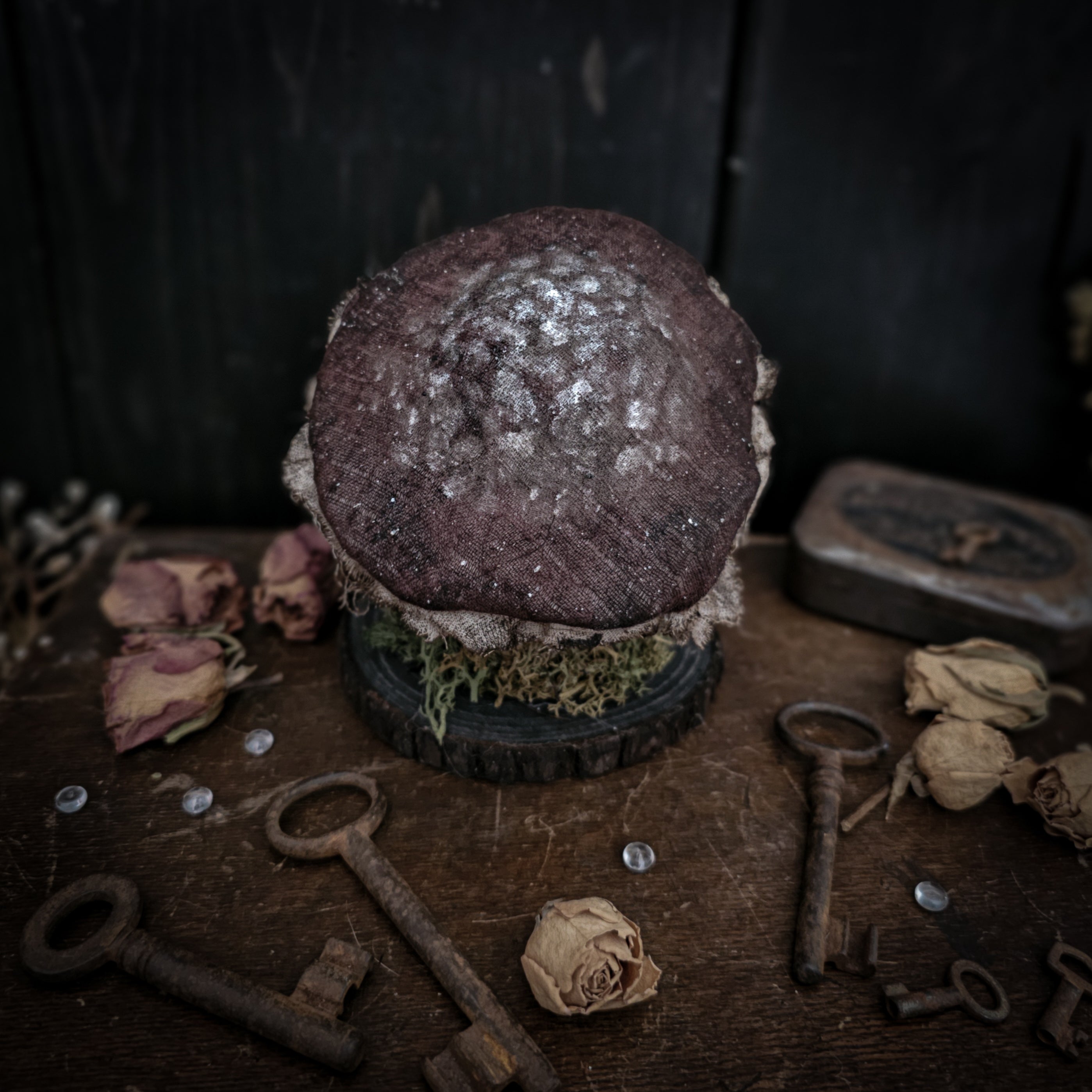 4.7" Mummified Mushroom