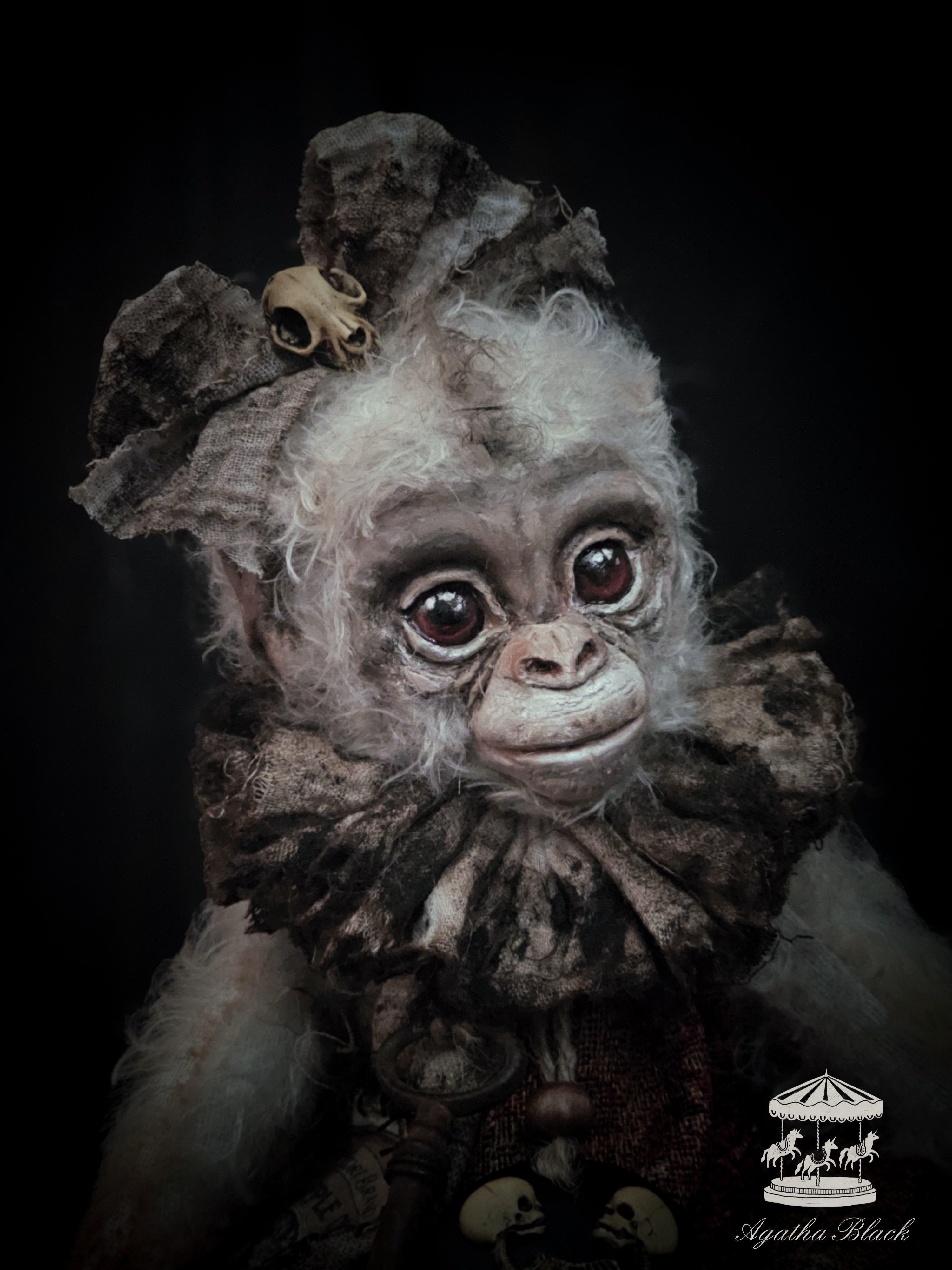 11.8" Albino Monkey