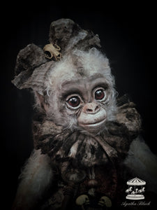 11.8" Albino Monkey