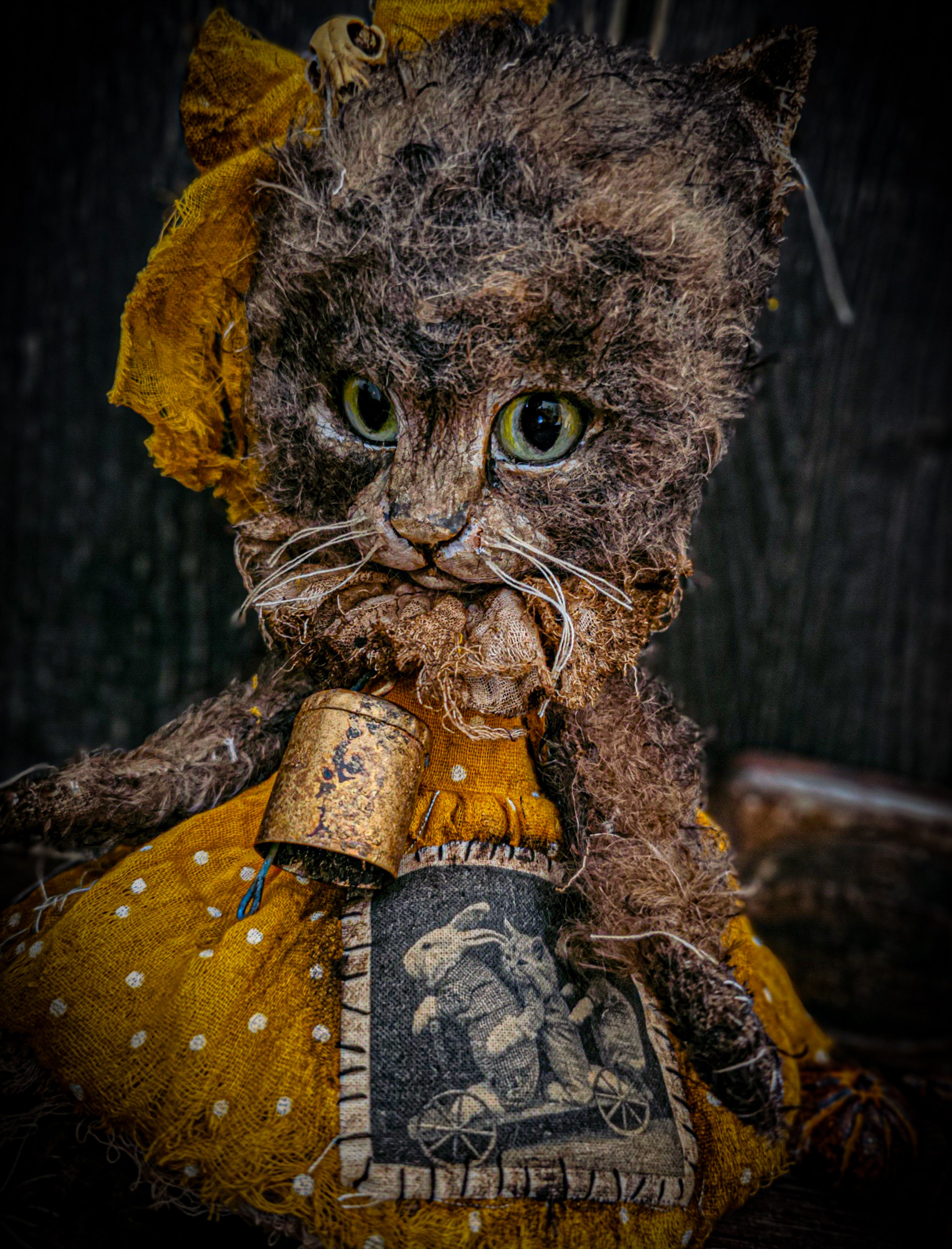 11.4" Kitten