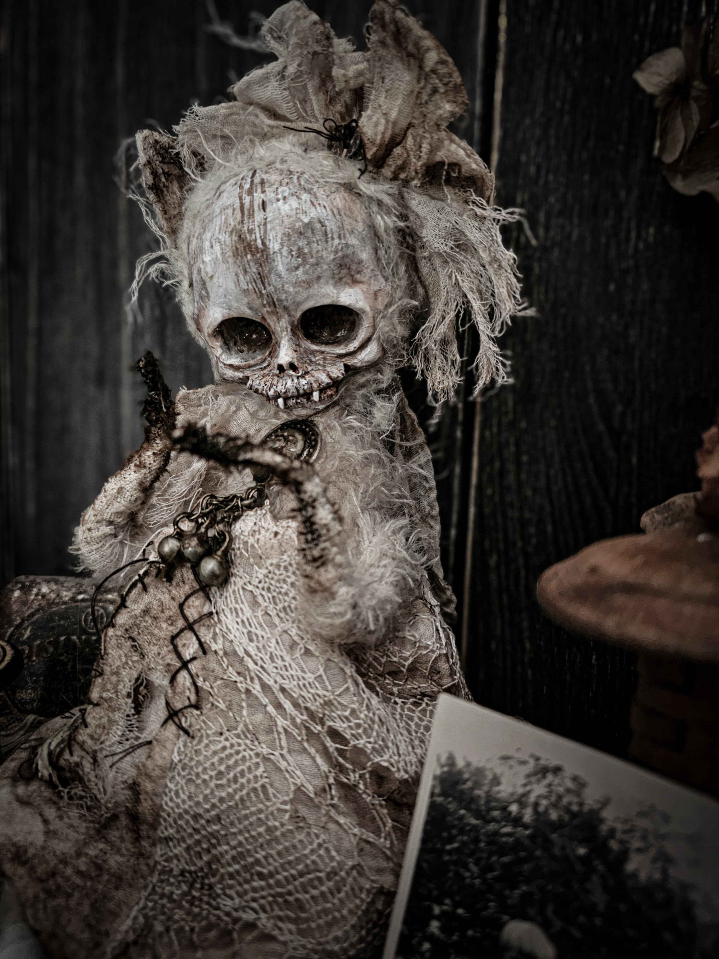 11.8" Skull Cat