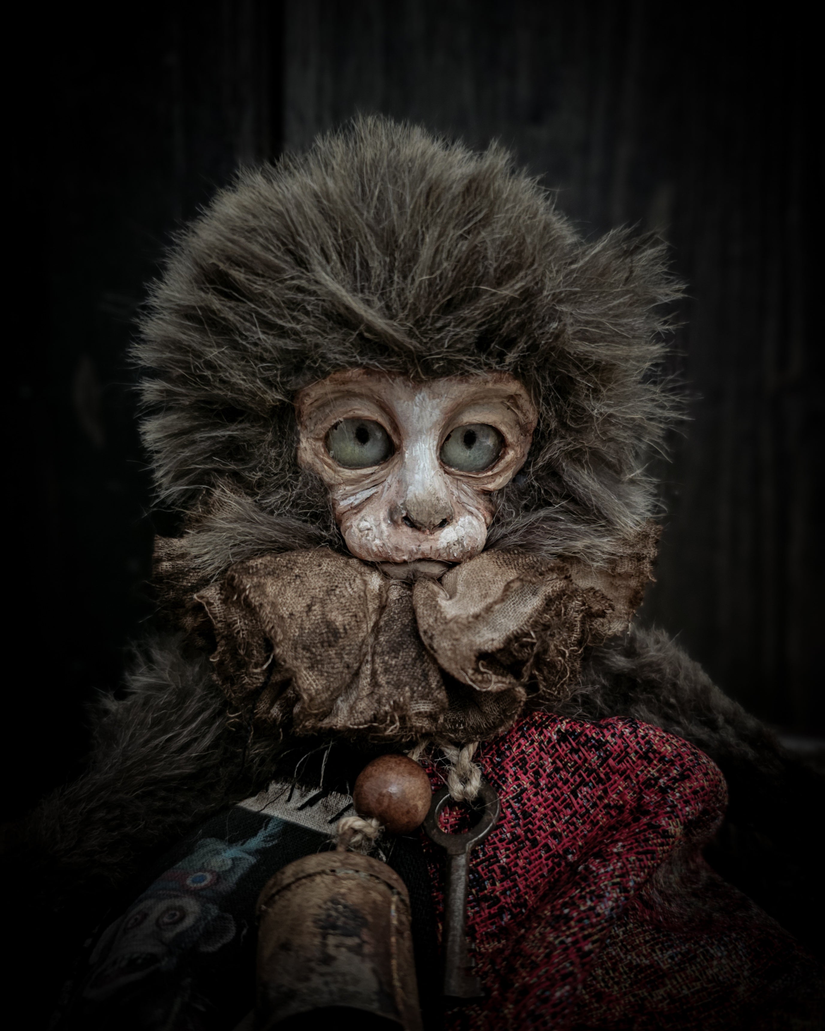10.6" Old Capuchin Monkey