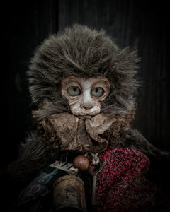 10.6" Old Capuchin Monkey
