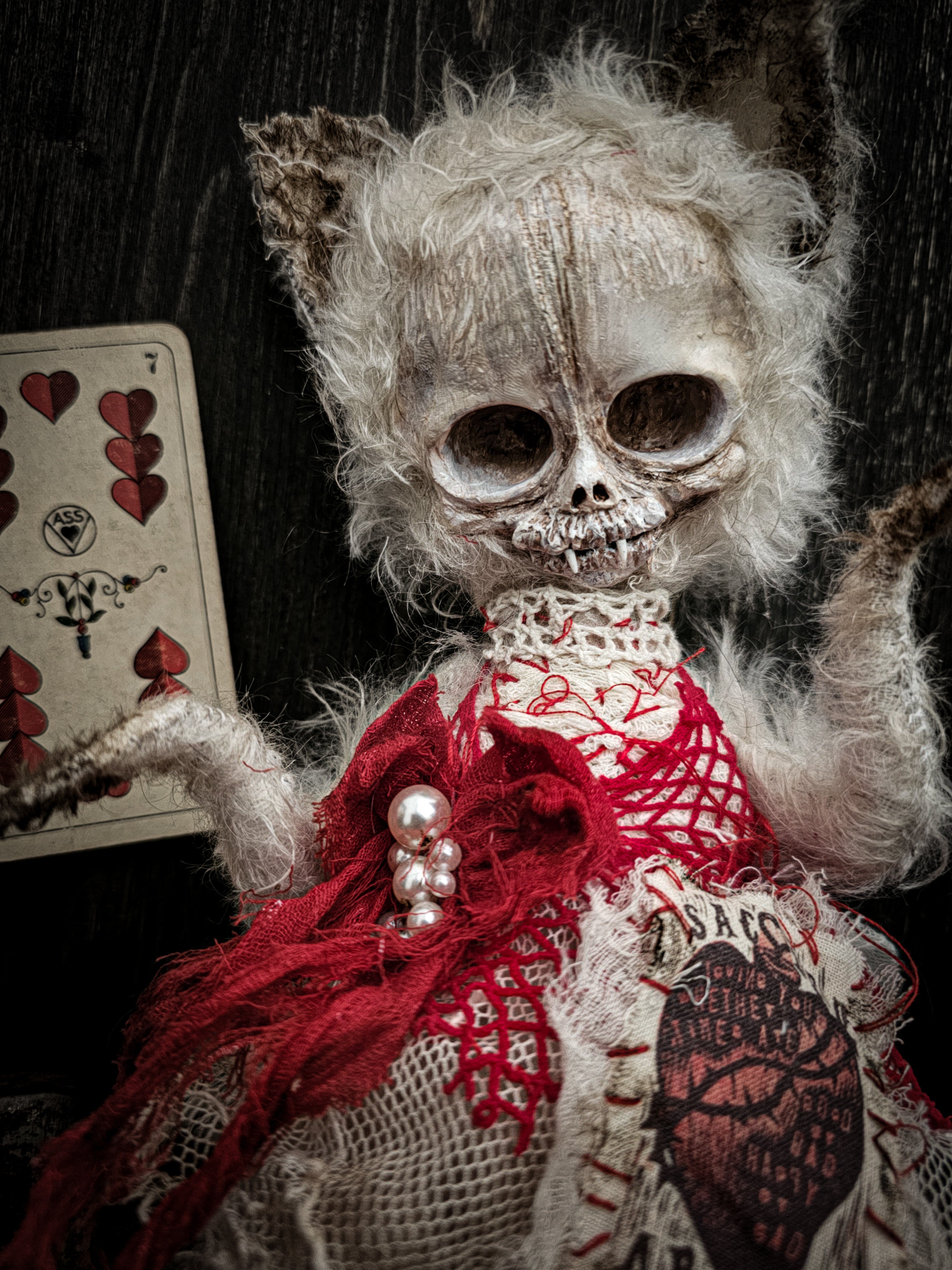 11" Skull Cat