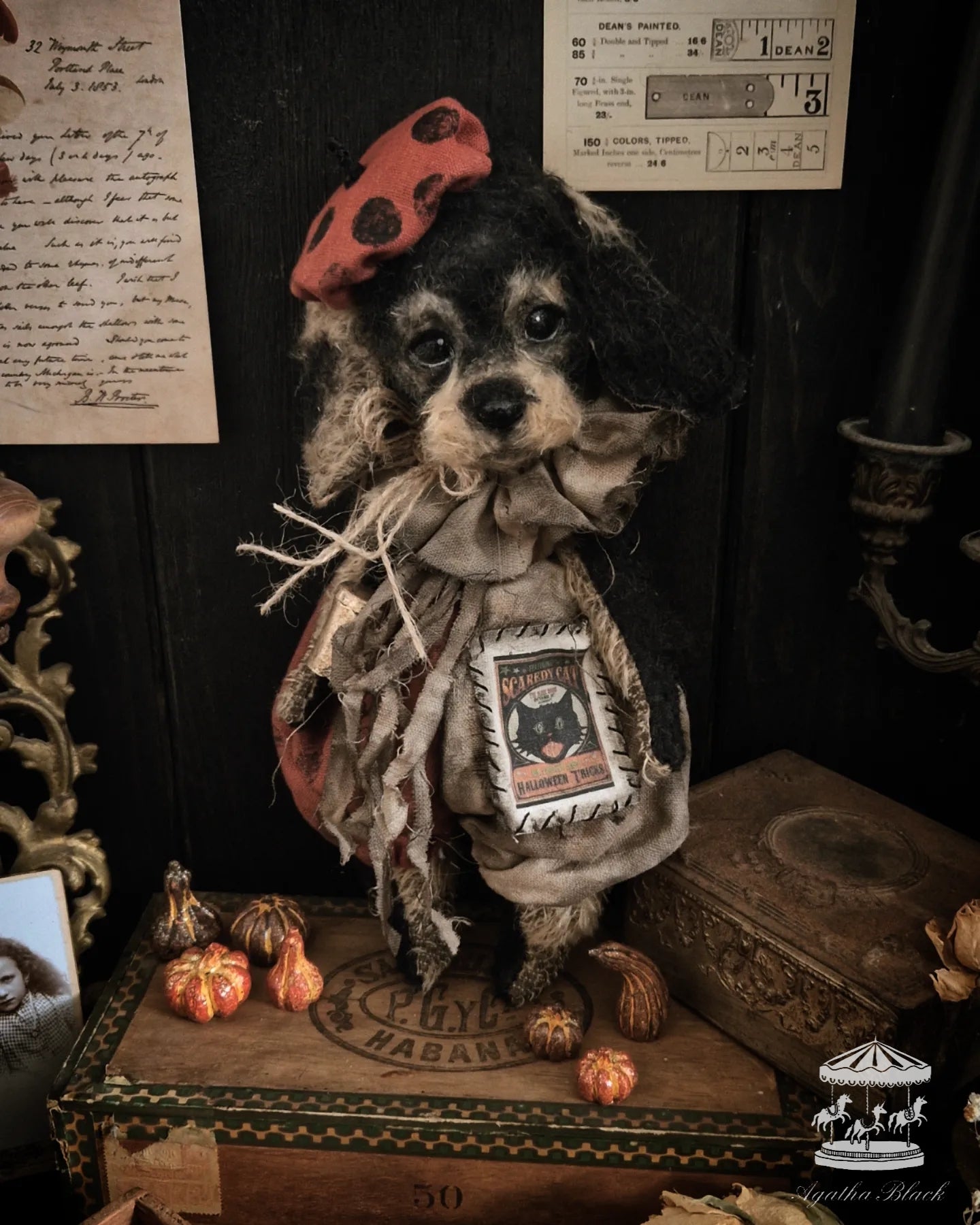 11.8" Wire Haired Dachshund Puppy
