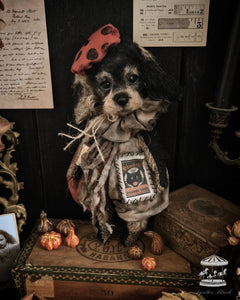 11.8" Wire Haired Dachshund Puppy