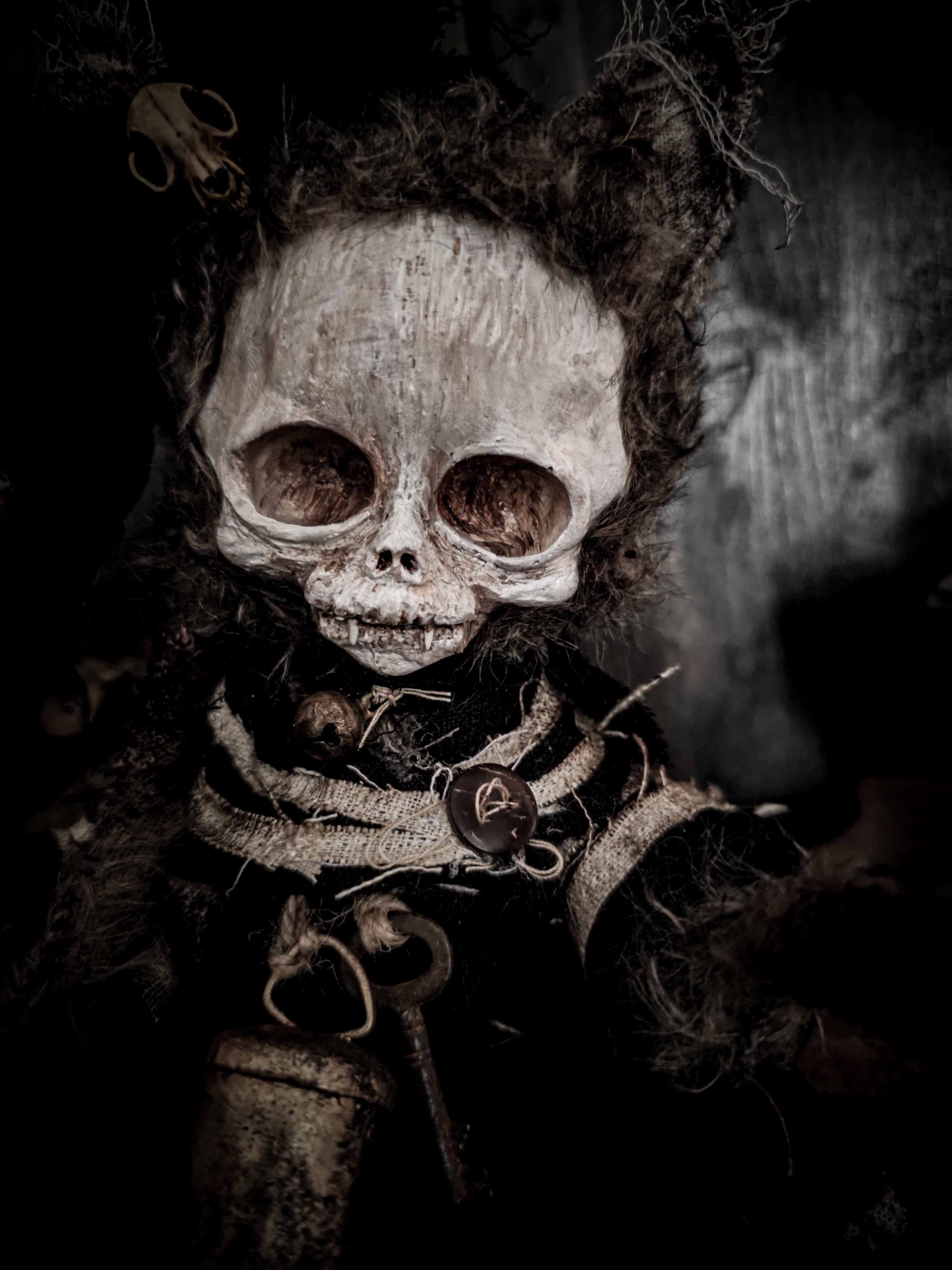 11.8" Skull Cat