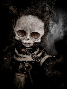 11.8" Skull Cat