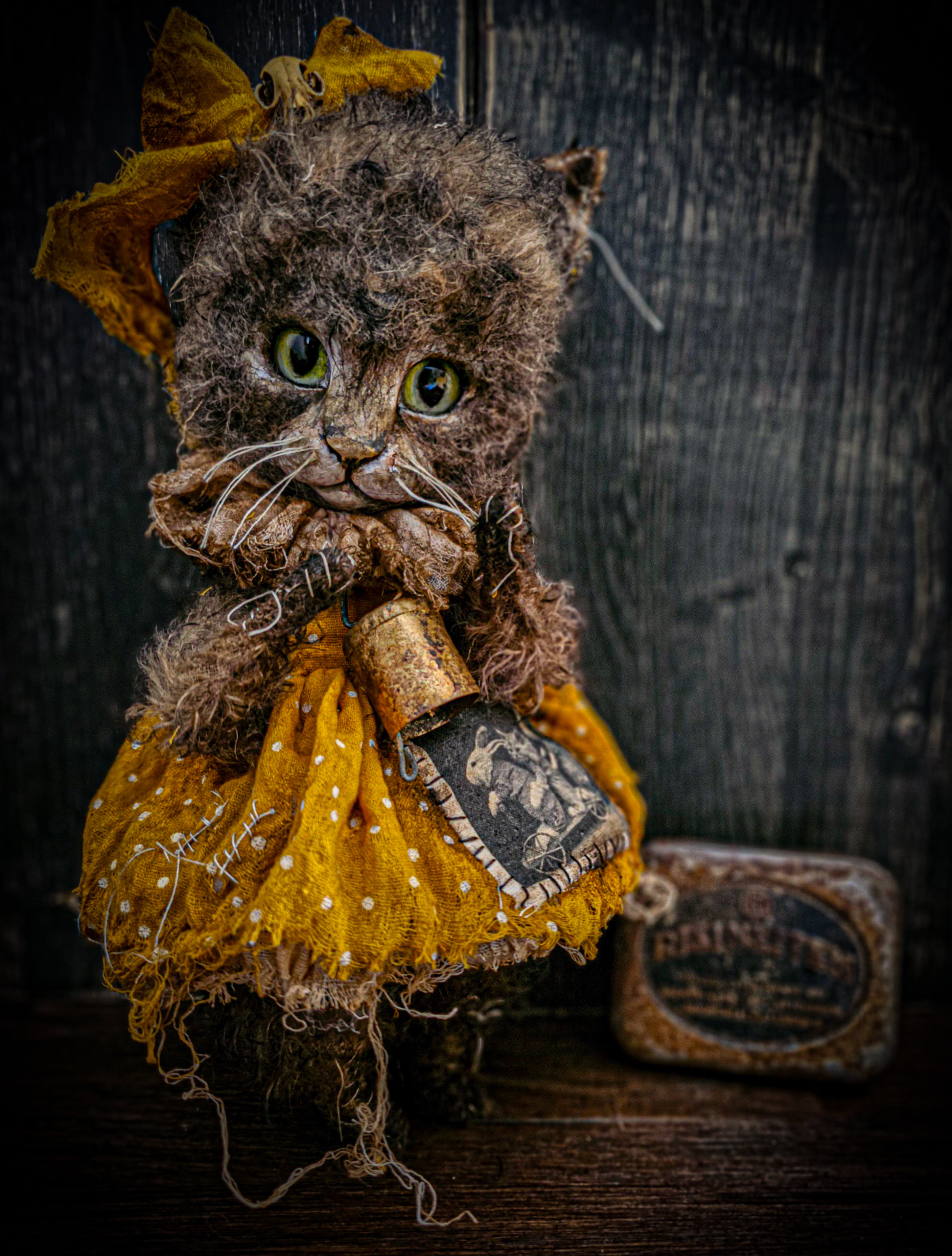 11.4" Kitten