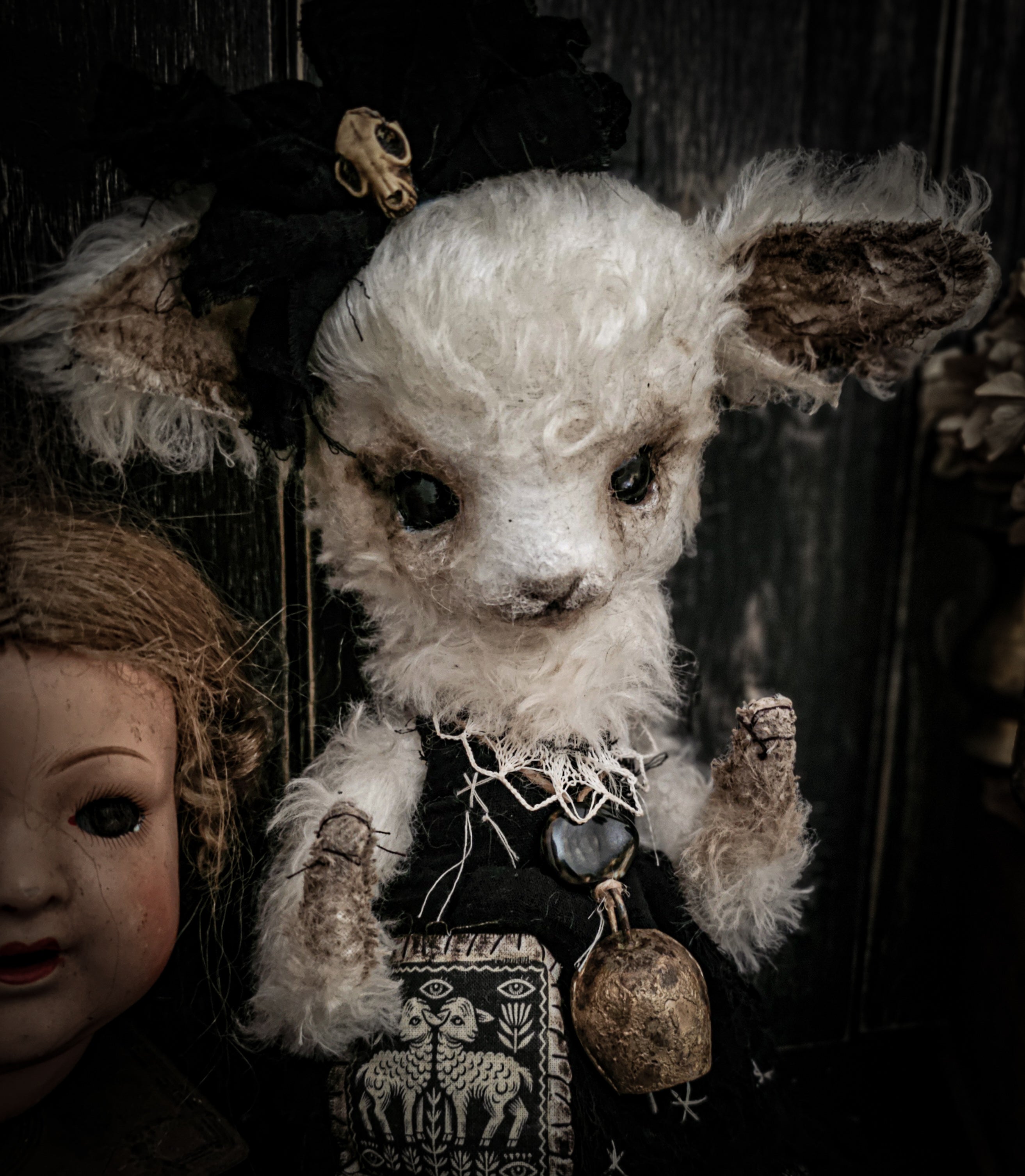 14.9" Lamb